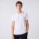 Εικόνα της Ανδρικό V-neck T-shirt Pima Cotton Jersey