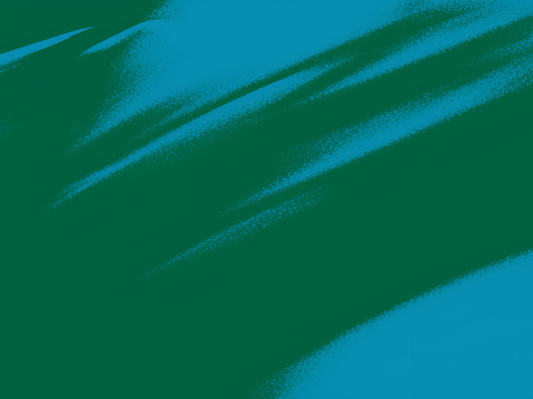 Last Chance - Special Prices