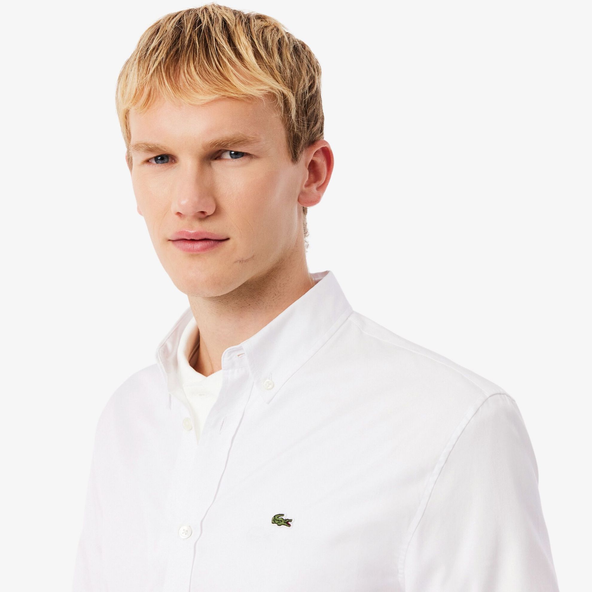 Εικόνα της Ανδρικό Πουκάμισο Premium Cotton Regular Fit 